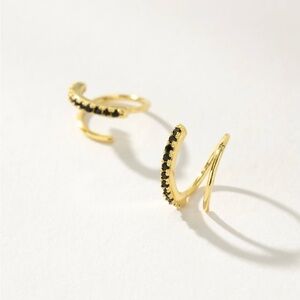 Seeing Double Earrings